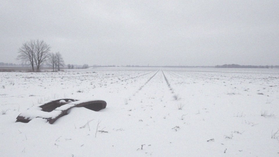 Jakie znaczenie miała kontrofensywa Sowieckiego Związku w Stalingradzie?