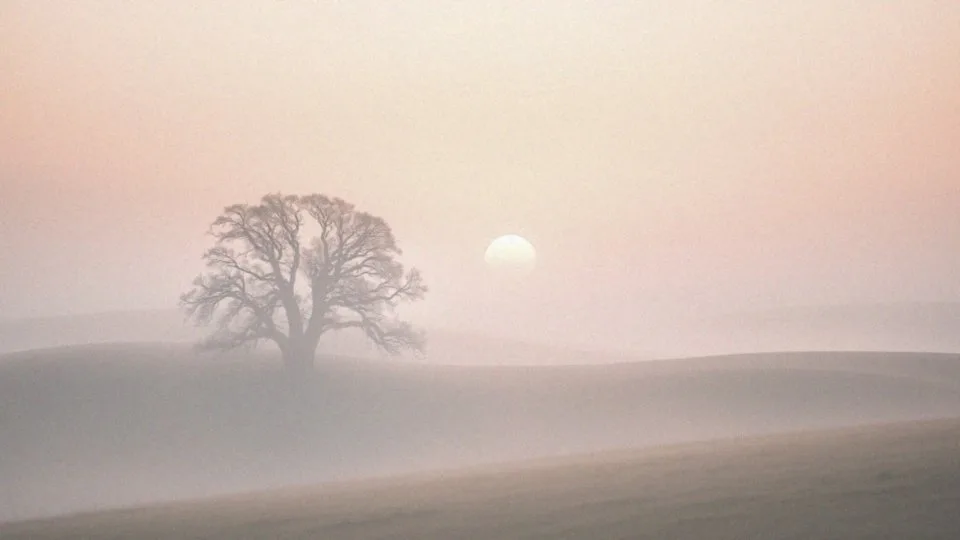 Bliźniacze płomienie etapy – odkryj wszystkie fazy tej relacji