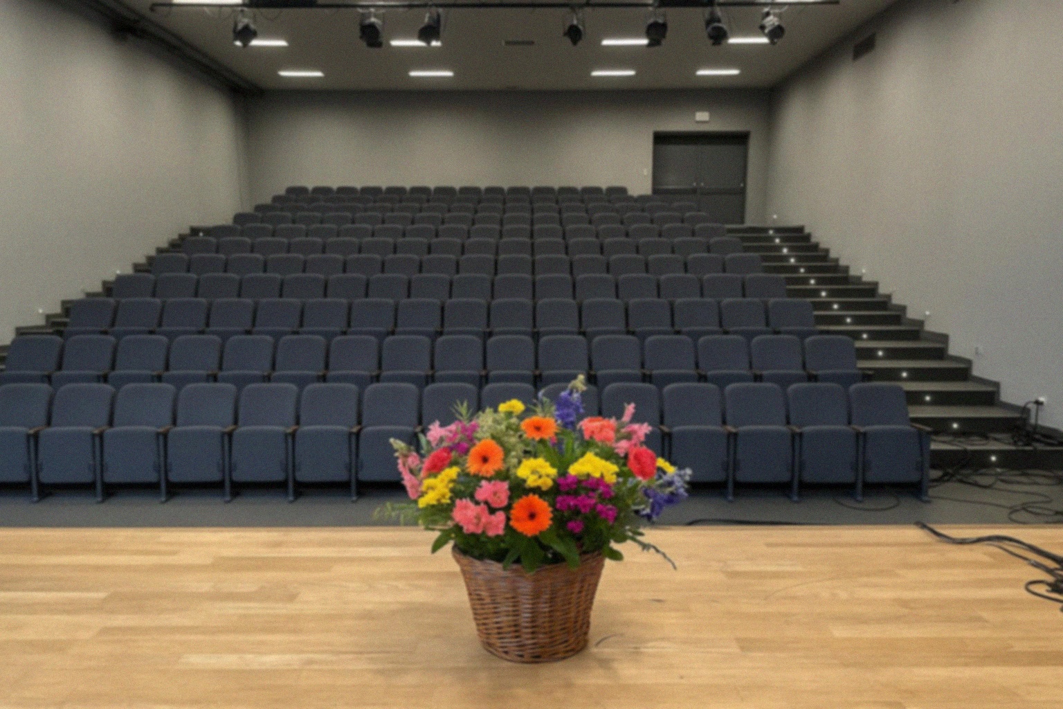 Letni Teatr Pod Chmurką 2025 – Wakacyjne Wydarzenia w Pyskowicach