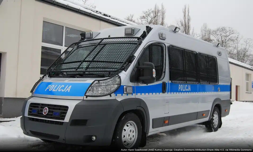 Jak kupować legalne choinki na święta – kluczowe informacje dla mieszkańców Pyskowic